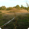 Herbstlandschaft